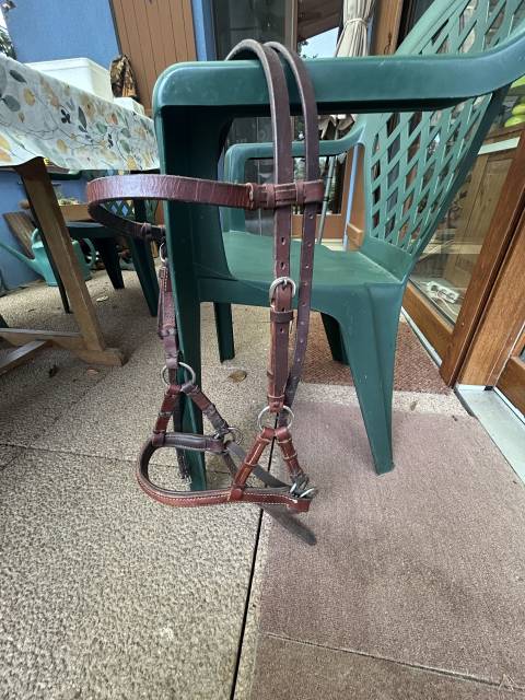 Side pool taille COB