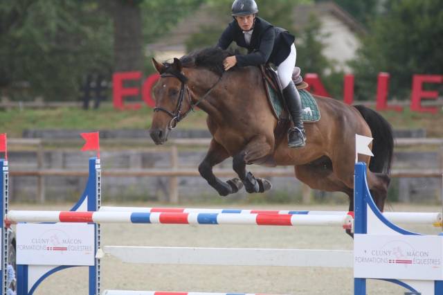 à vendre cheval pour faire 125/130