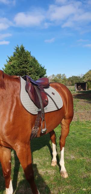 Selle CSO/cross monoquartier Eric Thomas