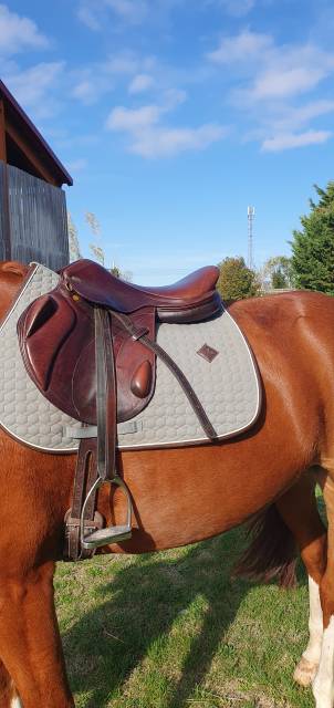 Selle CSO/cross monoquartier Eric Thomas