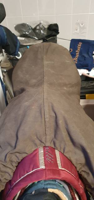 Selle cross lion  monoquartier Eric Thomas