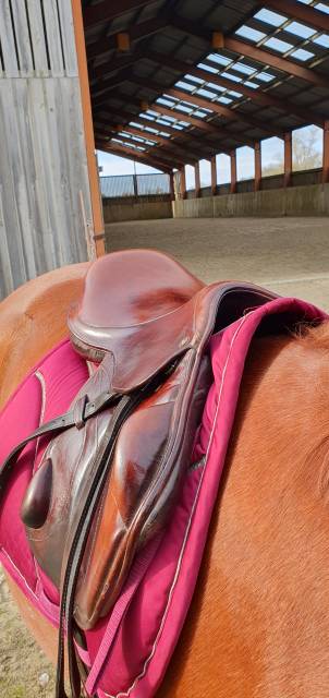 Selle cross lion  monoquartier Eric Thomas