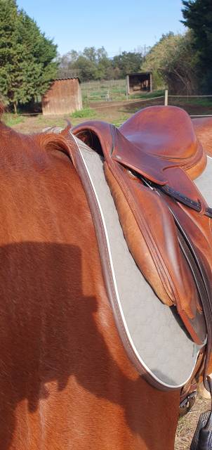 Selle cross Chiberta Devoucoux