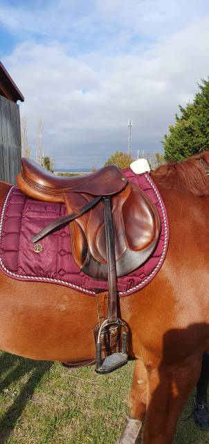 Selle cross chiberta devoucoux