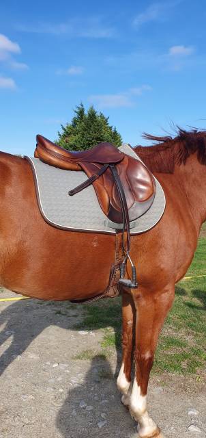 Selle cross Chiberta Devoucoux