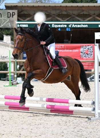 Brigand onc demi-trait dynamique et assurance vie