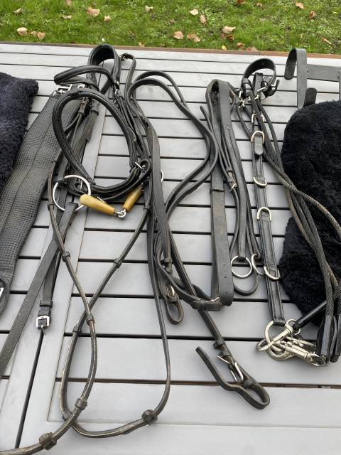 Lot mat&eacute;riel &eacute;quitation 