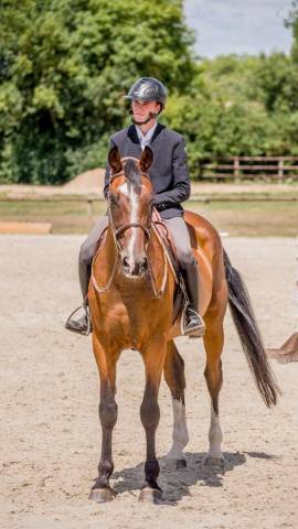 Ilton du haut manoir