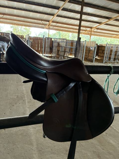 Selle Forestier Séoul 2 