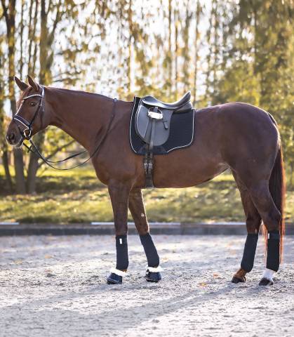 Chabraque anatomique Lugano - Waldhausen - Libert&eacute; au garrot