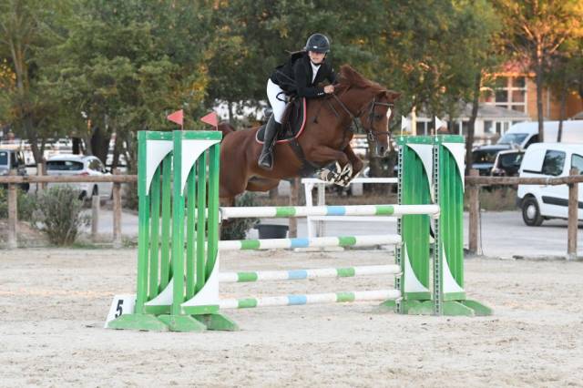 Location poney de sport