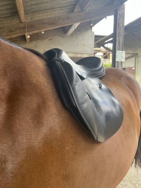 Selle childeric noire taille 17 