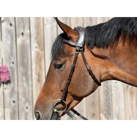 Bridon anatomique sans muserolle Essentiel Confort - TdeT