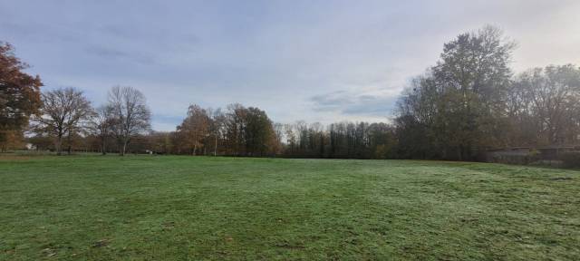 Les chevaux d'argentières