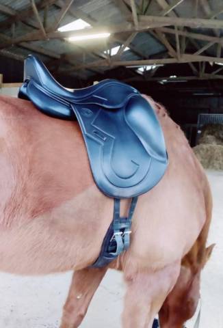 Selle dressage antares