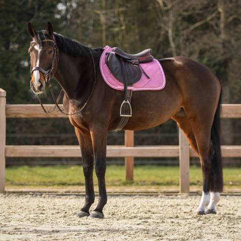 Tapis de selle Lyvia - QHP - Anatomique
