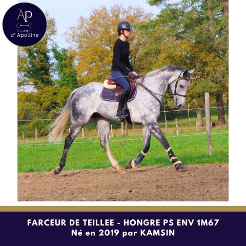 Magniofique 6 ans env 1m67