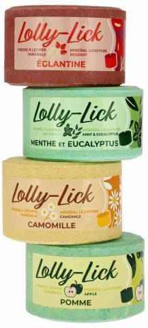 Pierre &agrave; sel Lolly Lick Menthe/Eucalyptus - Hippotonic