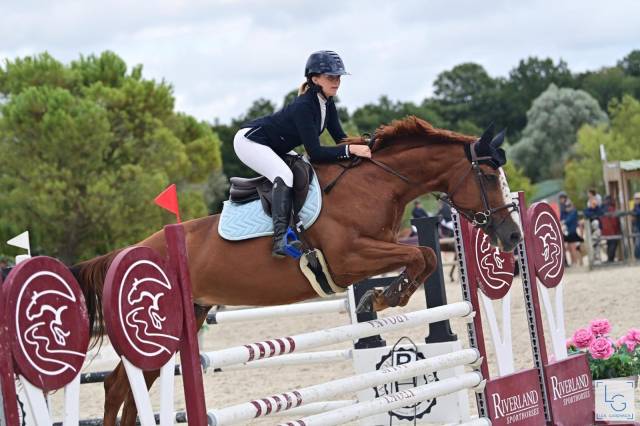 Jument 14 ans selle francais