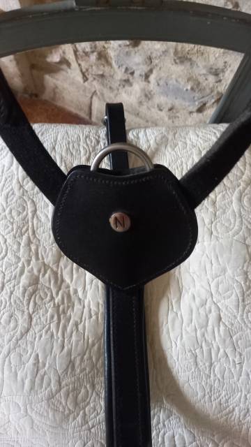 Collier de chasse Norton