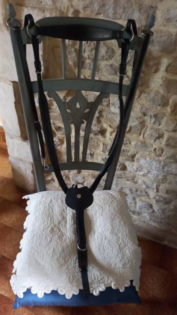 Collier de chasse Norton