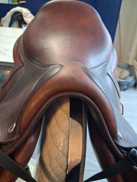 Selle CWD de 2022, 17 pouces 