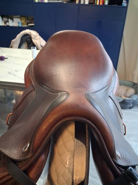 Selle CWD de 2022, 17 pouces 