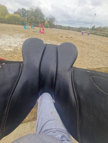 Selle mixte GBS 16.5 pouces