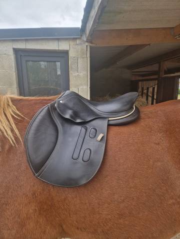 Selle mixte GBS 16.5 pouces