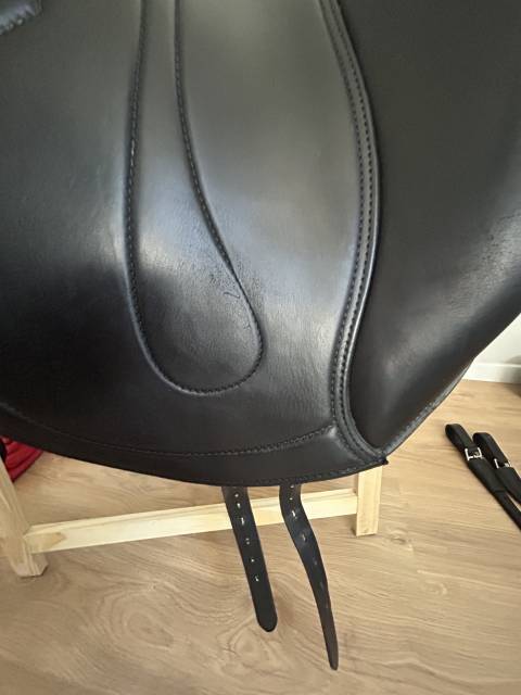 Petit prix d&eacute;part rapide Selle Oracle  &bull; 17,5