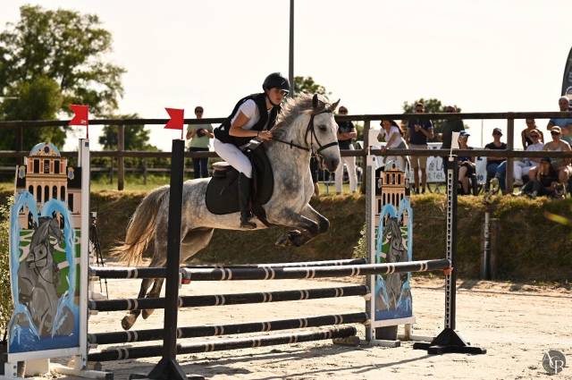 Top poney de concours