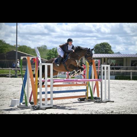 Demi pension cheval 9 ans