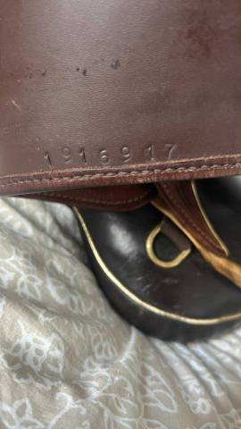 Selle Sommer Arcade : 30 cm