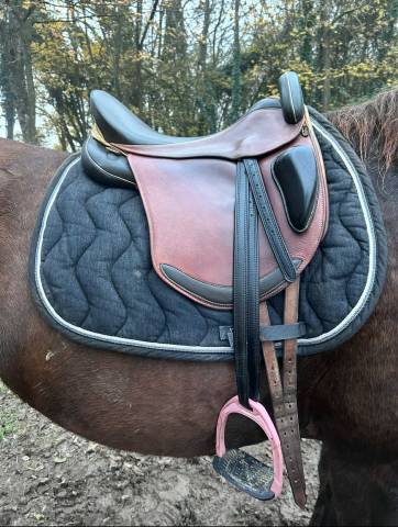 Selle sommer arcade : 30 cm