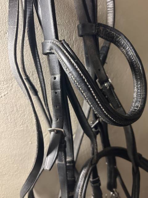 Bride complète poney 