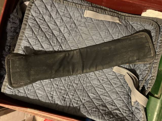 Sangle dressage poney D