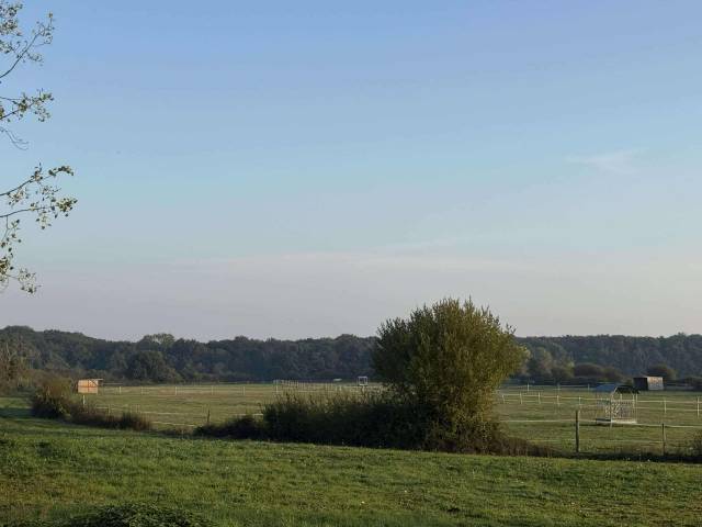 Pension chevaux vendôme box pré