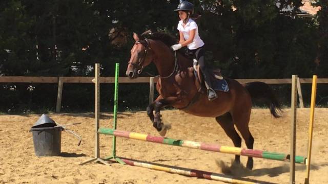 Selle Devoucoux 2019 taille 18