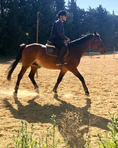 Selle Devoucoux 2019 taille 18