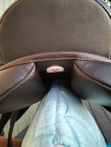 Selle wintec 500 mixte hart 17 " marron