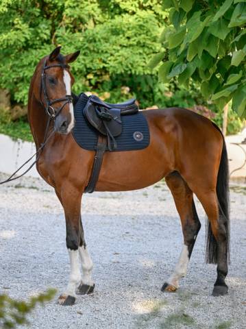 Tapis de selle Upstate DRESSAGE - Tommy Hilfiger - M&eacute;moire de forme