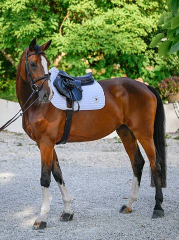 Tapis de selle Upstate DRESSAGE - Tommy Hilfiger - M&eacute;moire de forme