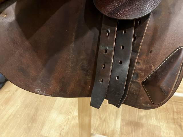 Selle ANTARES évolution 2024