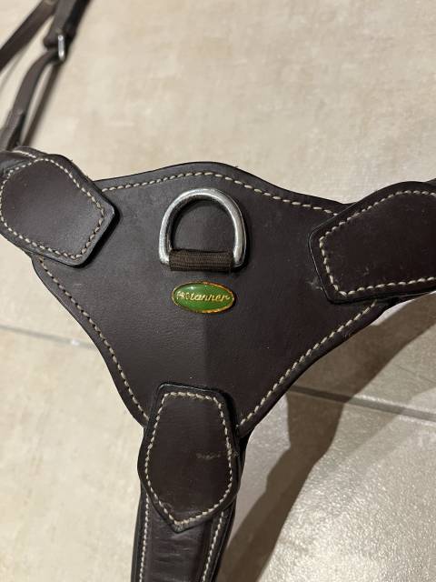 Collier de chasse Protanner – Marron