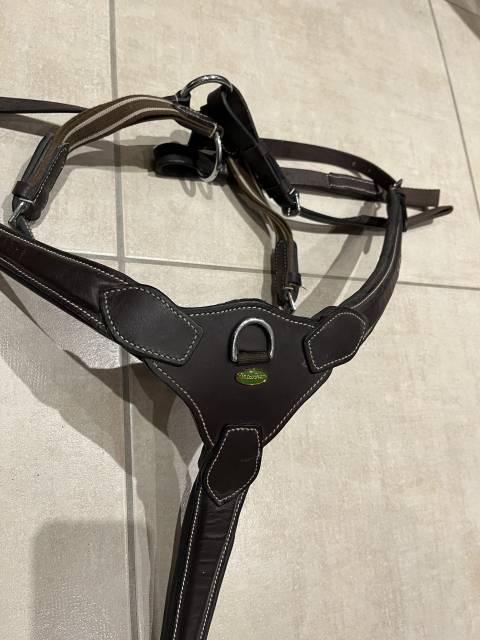 Collier de chasse Protanner – Marron