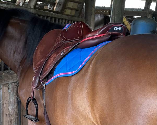 Selle CWD 2gs mademoiselle 