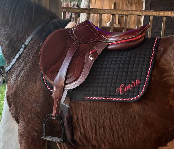 Selle CWD 2gs mademoiselle 