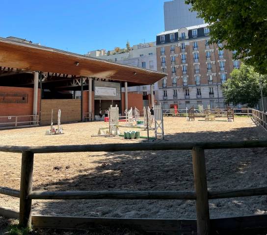 Recherche palefrenier / soigneur