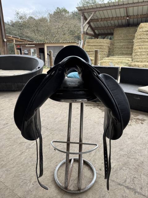 Selle de dressage Childeric