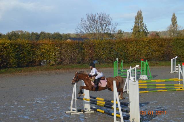 Patriot : sous le sapin